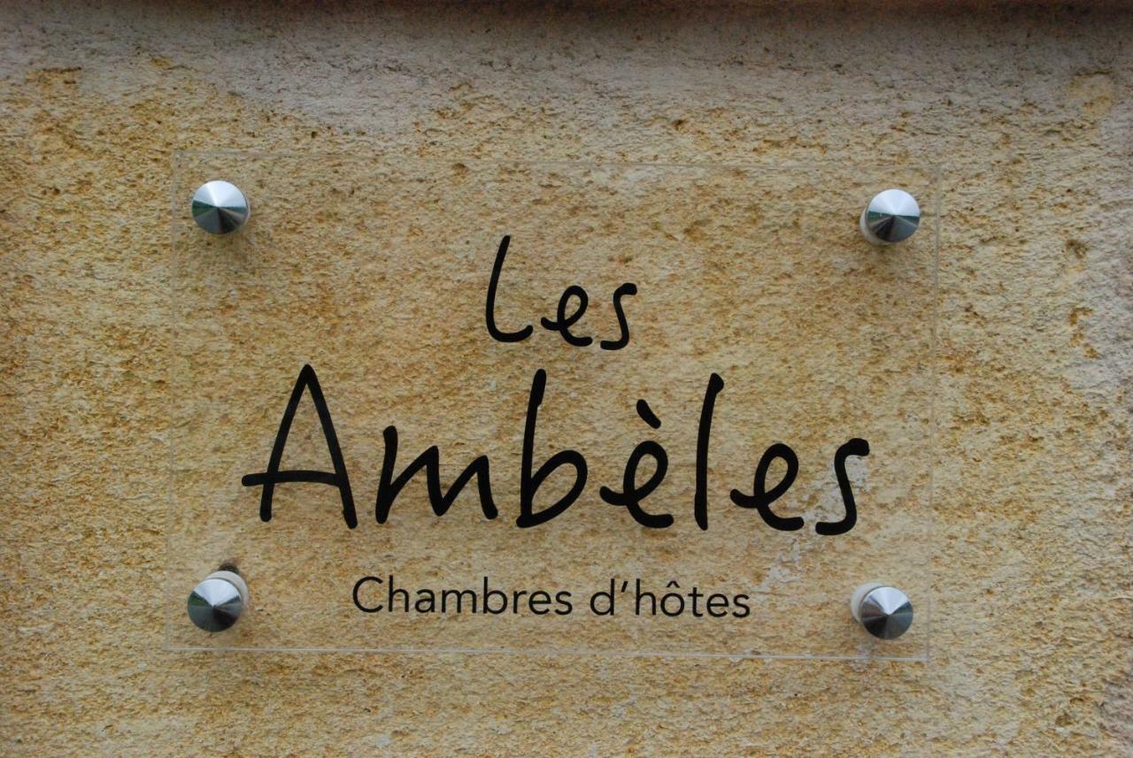 Bed and Breakfast Les Ambeles Saint-Magne-de-Castillon Exterior foto